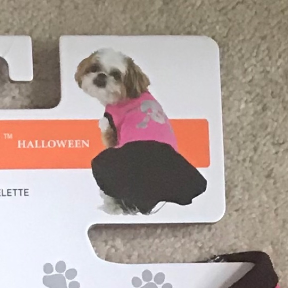 Celebrate It Halloween Pet Costume